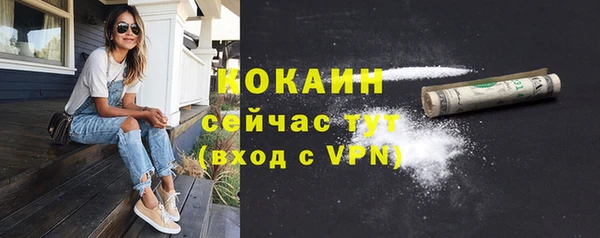 винт Нея