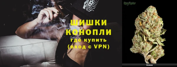 винт Нея