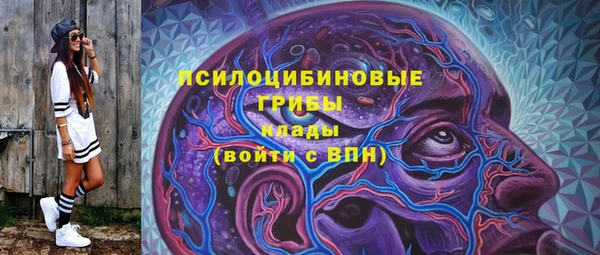 винт Нея