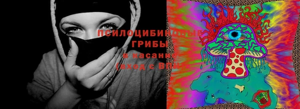 винт Нея