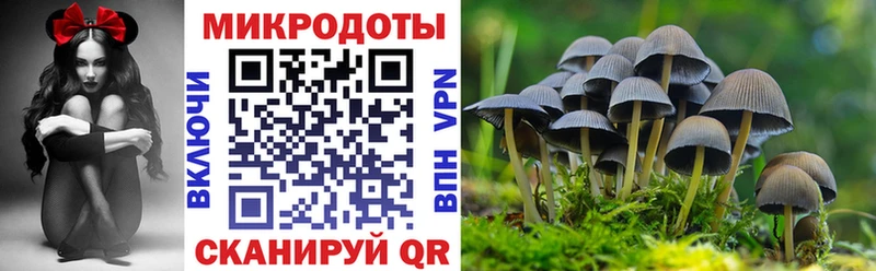 Галлюциногенные грибы мицелий Купить где Фокино